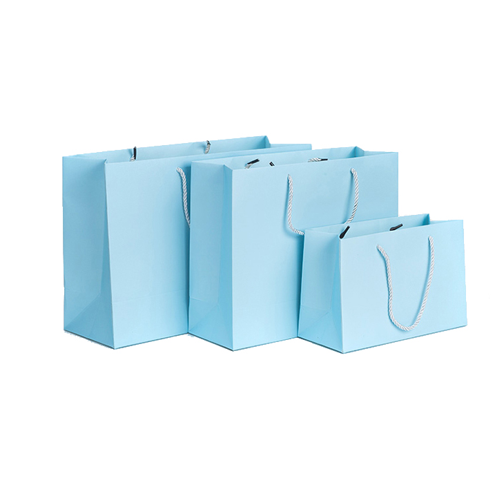 Strong Paper Bags Pink Gift Bag 